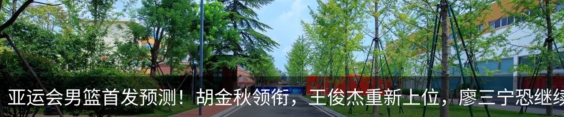 最新动态