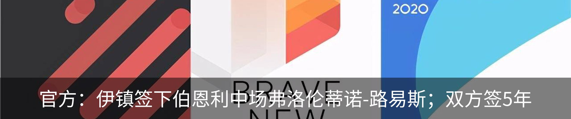 最新动态