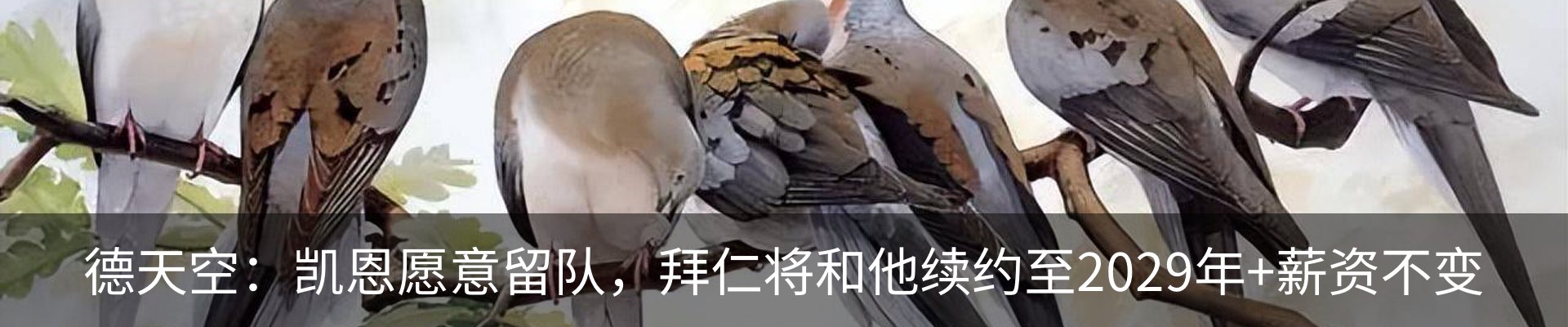 最新动态