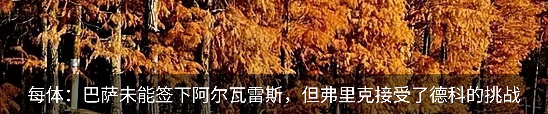 最新动态
