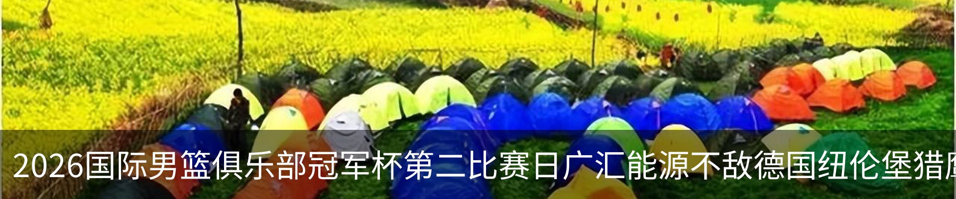 最新动态